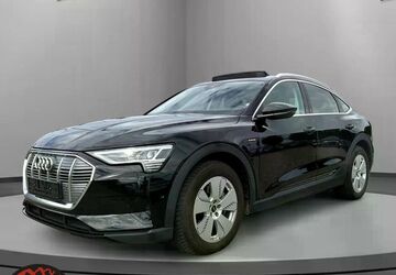 Audi e-tron 17.950 km 29.990 &euro; Wilhelmsdorf 88271
