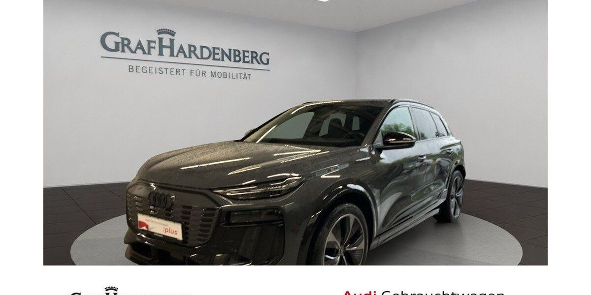 Audi Q6 e-tron 21.600 km 61.910 &euro; Konstanz 78467