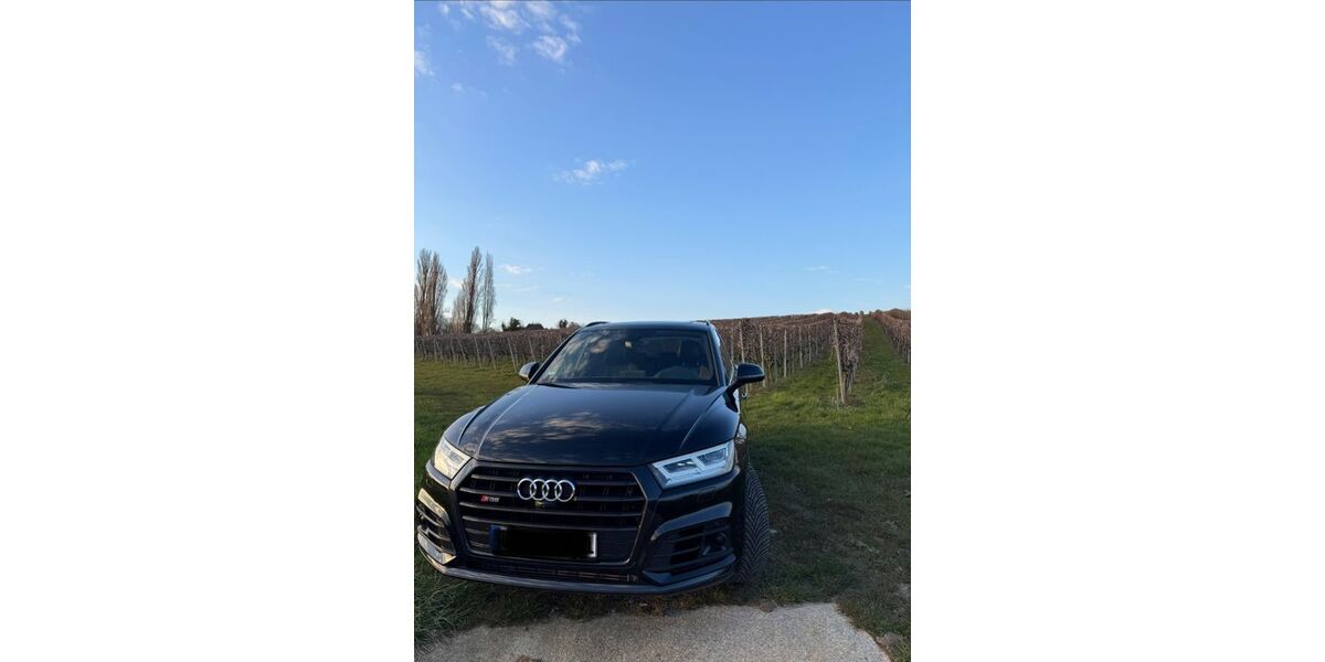 Audi SQ5 83.000 km 39.100 &euro; Uhldingen-Mühlhofen 88690