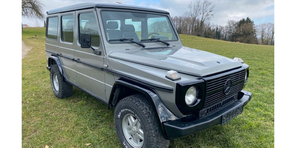 Mercedes-Benz G 300 119.000 km 35.900 &euro; Oberteuringen 88094