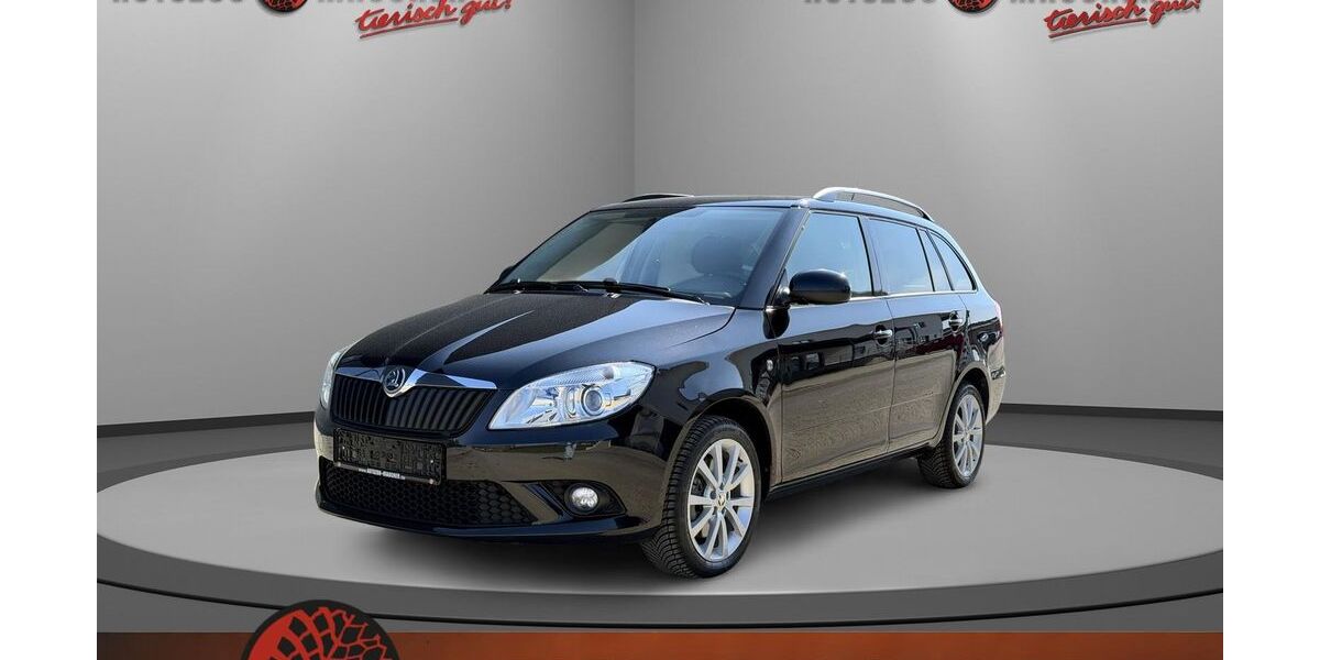 Skoda Fabia 59.740 km 9.890 &euro; Wilhelmsdorf 88271